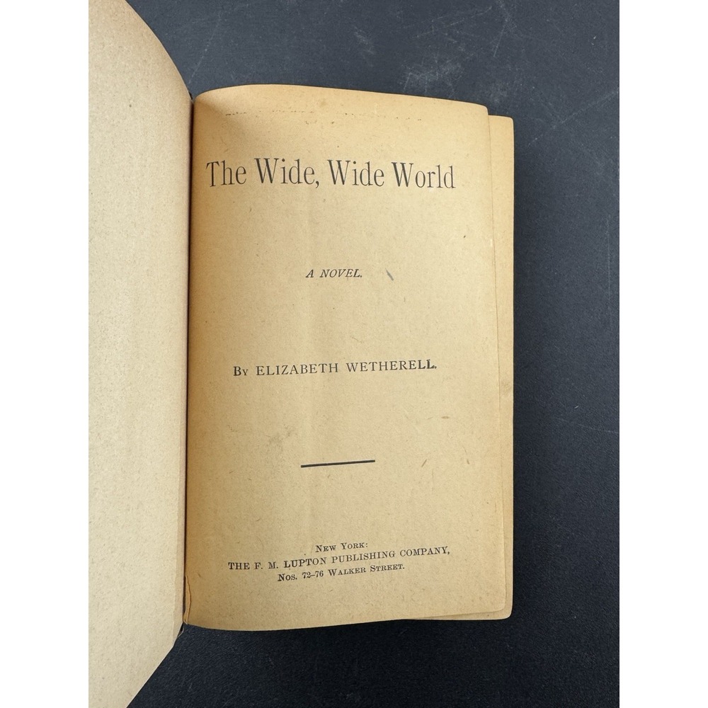 The Wide Wide World Susan‎ Warner 1880s hardcover